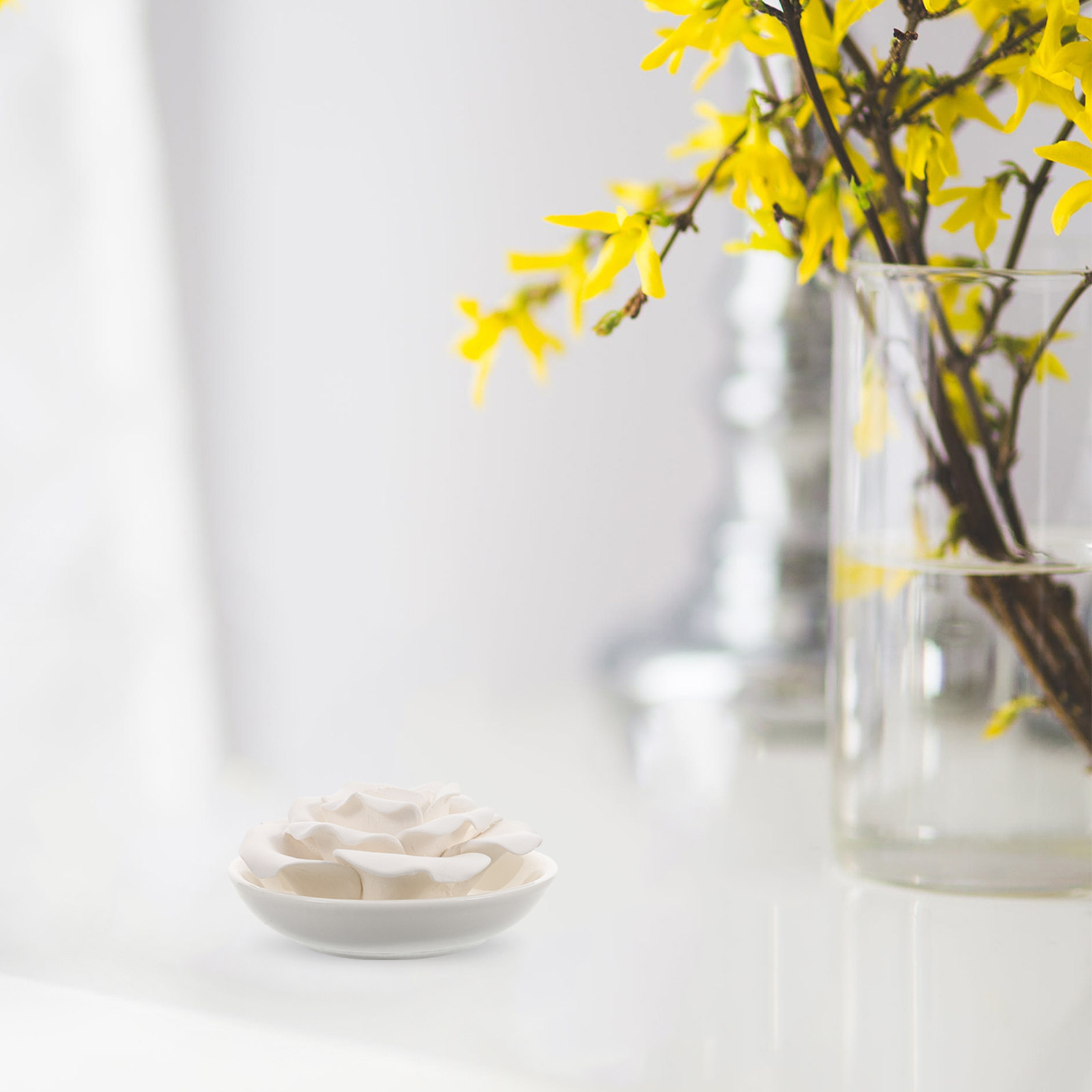 Portable Essential Oil Stone D – Home Fragrance Diffuser recenzja i cena