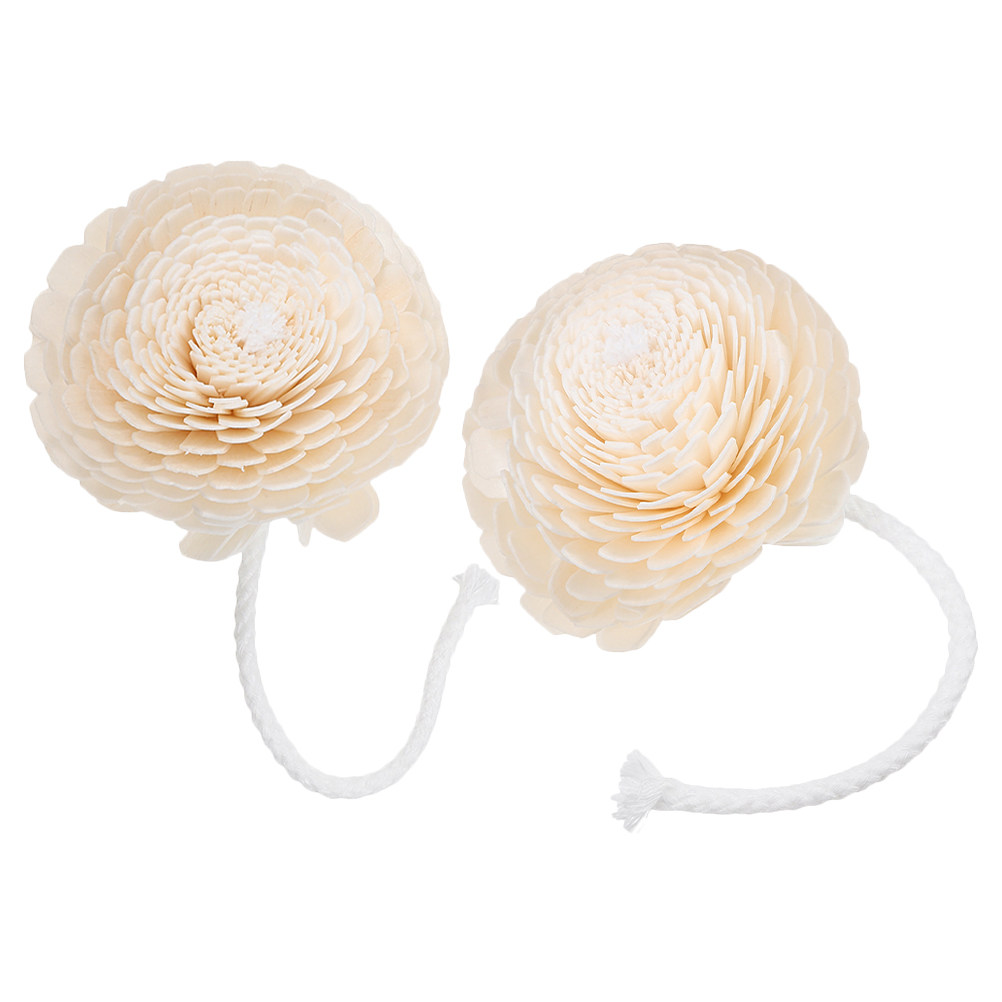 2Pcs Fragrance Bottle Diffuser – Home Fragrance Diffuser recenzja i cena
